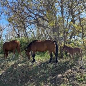 Meet your Posher, Jill